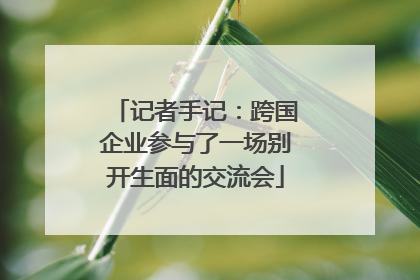 记者手记：跨国企业参与了一场别开生面的交流会