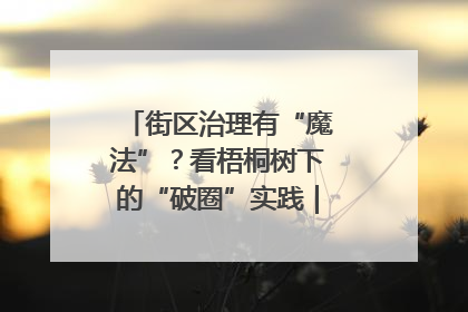 街区治理有“魔法”？看梧桐树下的“破圈”实践｜我在街区当书记