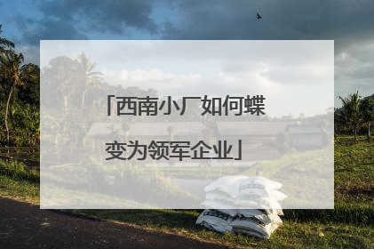 西南小厂如何蝶变为领军企业