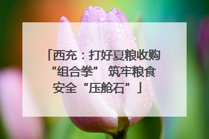 西充：打好夏粮收购“组合拳” 筑牢粮食安全“压舱石”