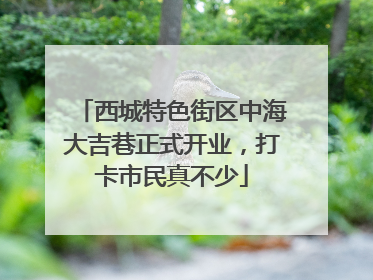 西城特色街区中海大吉巷正式开业，打卡市民真不少