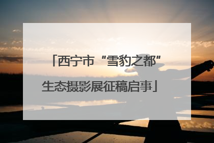 西宁市“雪豹之都”生态摄影展征稿启事
