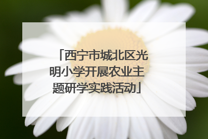 西宁市城北区光明小学开展农业主题研学实践活动