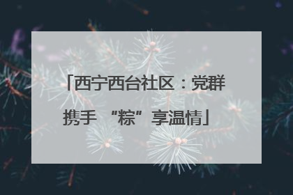 西宁西台社区：党群携手 “粽”享温情
