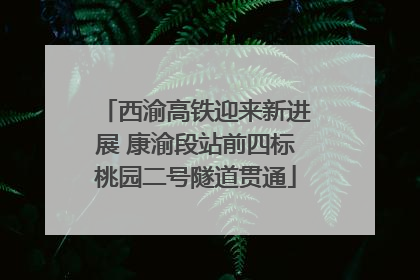 西渝高铁迎来新进展 康渝段站前四标桃园二号隧道贯通