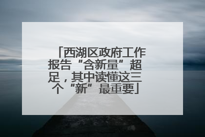 西湖区政府工作报告“含新量”超足，其中读懂这三个“新”最重要
