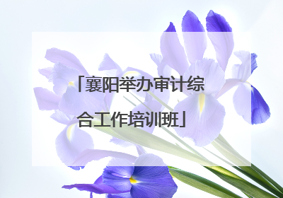 襄阳举办审计综合工作培训班