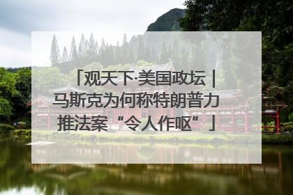 观天下·美国政坛｜马斯克为何称特朗普力推法案“令人作呕”