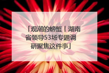 观潮的螃蟹丨湖南省领导53场专题调研聚焦这件事