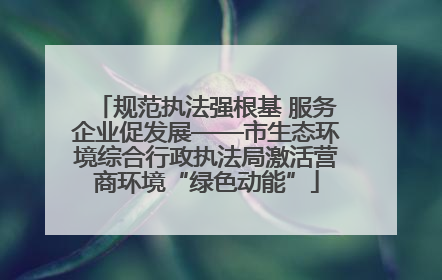 规范执法强根基 服务企业促发展——市生态环境综合行政执法局激活营商环境“绿色动能”