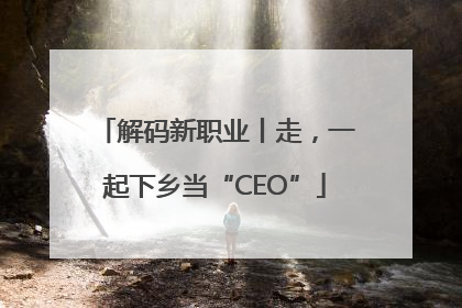 解码新职业丨走，一起下乡当“CEO”