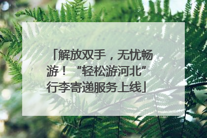 解放双手，无忧畅游！“轻松游河北”行李寄递服务上线