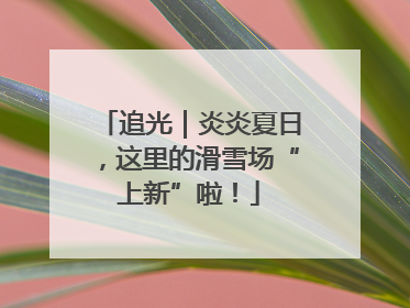 追光｜炎炎夏日，这里的滑雪场“上新”啦！