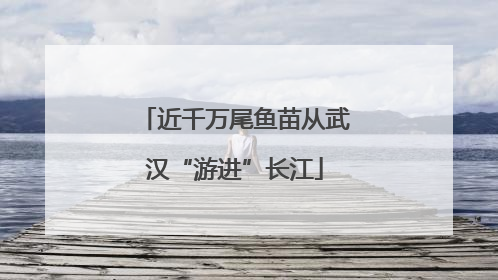 近千万尾鱼苗从武汉“游进”长江