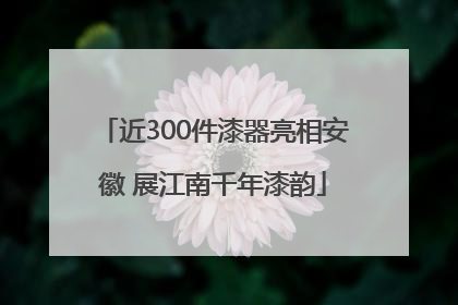 近300件漆器亮相安徽 展江南千年漆韵