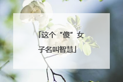 这个“傻”女子名叫智慧