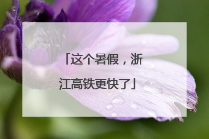 这个暑假，浙江高铁更快了