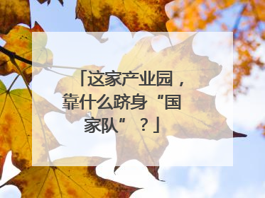 这家产业园，靠什么跻身“国家队”？