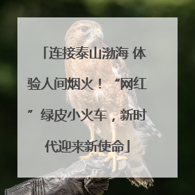 连接泰山渤海 体验人间烟火！“网红”绿皮小火车，新时代迎来新使命