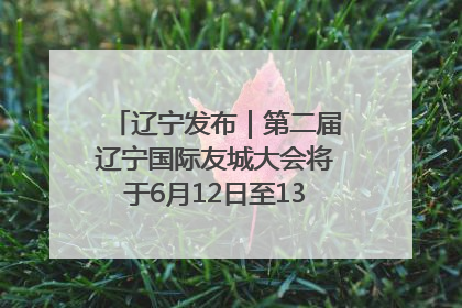辽宁发布｜第二届辽宁国际友城大会将于6月12日至13日在沈阳举办