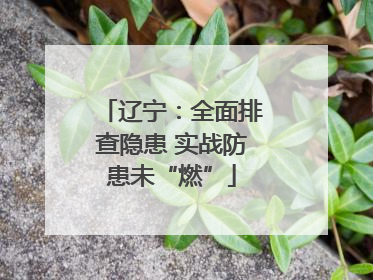 辽宁：全面排查隐患 实战防患未“燃”