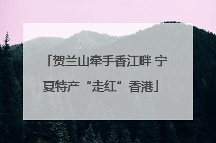 贺兰山牵手香江畔 宁夏特产“走红”香港