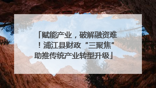 赋能产业，破解融资难！浦江县财政“三聚焦”助推传统产业转型升级