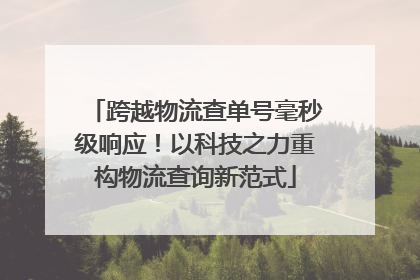 跨越物流查单号毫秒级响应！以科技之力重构物流查询新范式