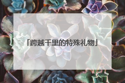 跨越千里的特殊礼物