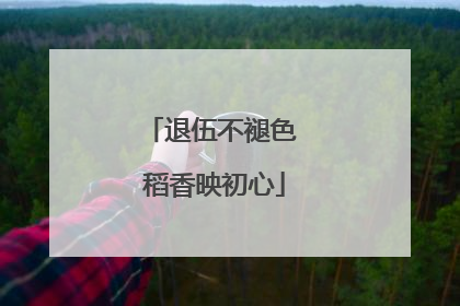 退伍不褪色 稻香映初心