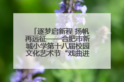 逐梦启新程 扬帆再远征——合肥市新城小学第十八届校园文化艺术节“戏曲进校园专场演出”
