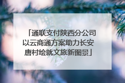 通联支付陕西分公司以云商通方案助力长安唐村绘就文旅新图景