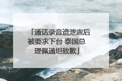 通话录音遭泄露后被要求下台 泰国总理佩通坦致歉