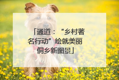 通道：“乡村著名行动”绘就美丽侗乡新图景