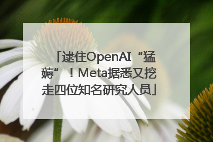 逮住OpenAI“猛薅”！Meta据悉又挖走四位知名研究人员