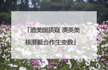 遭美国质疑 澳英美核潜艇合作生变数