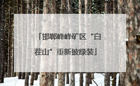 邯郸峰峰矿区“白茬山”重新披绿装