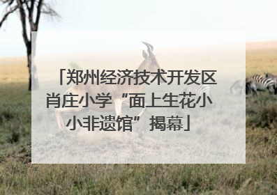 郑州经济技术开发区肖庄小学“面上生花小小非遗馆”揭幕