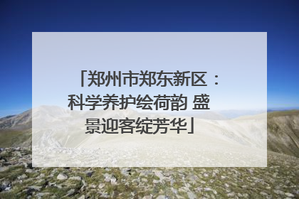 郑州市郑东新区：科学养护绘荷韵 盛景迎客绽芳华