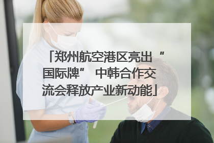 郑州航空港区亮出“国际牌” 中韩合作交流会释放产业新动能