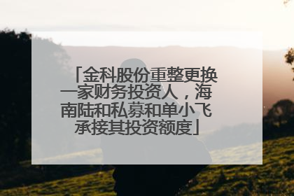 金科股份重整更换一家财务投资人，海南陆和私募和单小飞承接其投资额度
