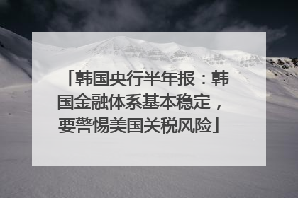 韩国央行半年报：韩国金融体系基本稳定，要警惕美国关税风险