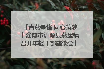 青燕争锋 同心筑梦丨淄博市沂源县燕崖镇召开年轻干部座谈会