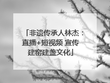 非遗传承人林杰：直播+短视频 宣传建窑建盏文化