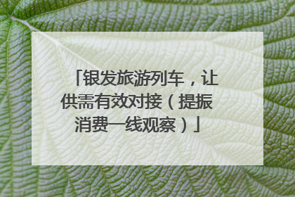 银发旅游列车，让供需有效对接（提振消费一线观察）