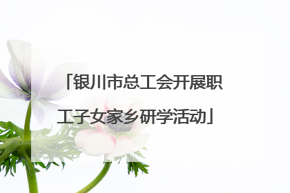 银川市总工会开展职工子女家乡研学活动