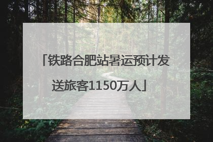 铁路合肥站暑运预计发送旅客1150万人