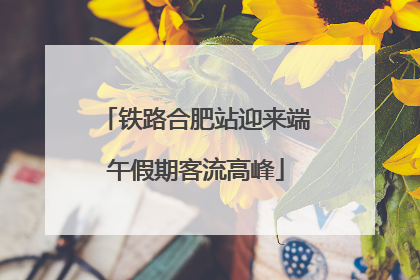 铁路合肥站迎来端午假期客流高峰