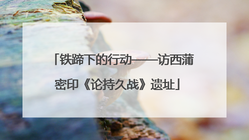 铁蹄下的行动——访西蒲密印《论持久战》遗址