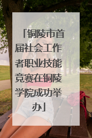 铜陵市首届社会工作者职业技能竞赛在铜陵学院成功举办